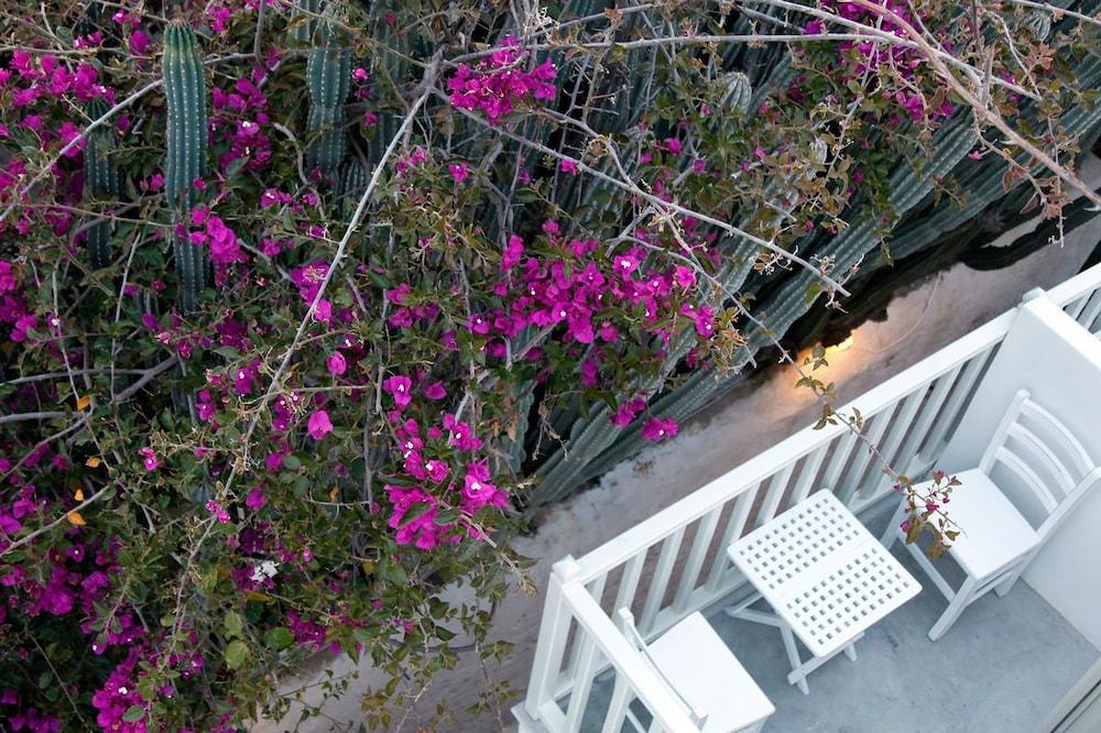 Fresh Boutique Hotel Mykonos Town Exterior foto