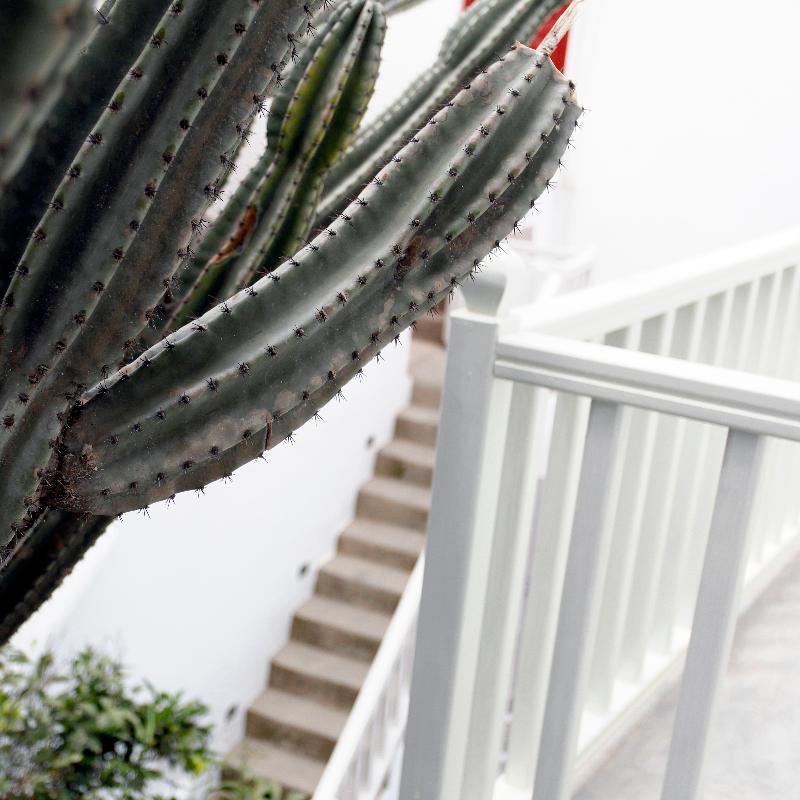 Fresh Boutique Hotel Mykonos Town Exterior foto
